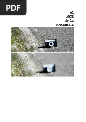 El Arte de la Fotografía