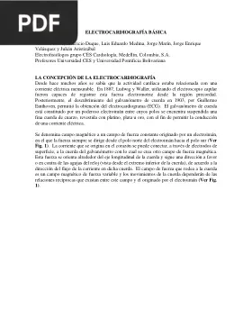 Electrocardiografía básica