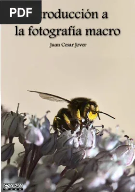 Introduccion a la Fotografía Macro