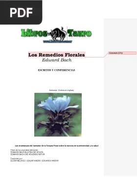 Los Remedios Florales