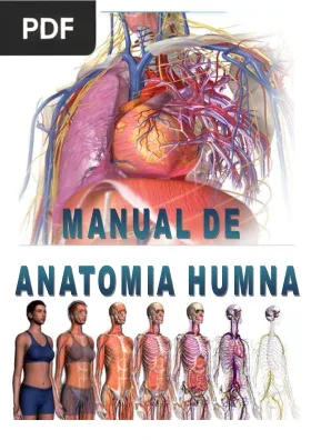 Manual de Anatomía Humana