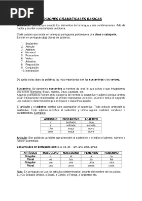 Nociones gramaticales básicas